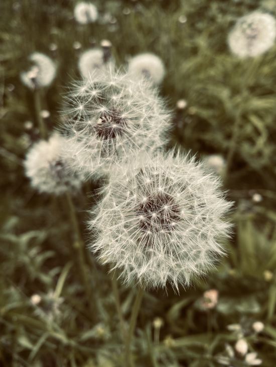 Emotionale Heilung: Aus der Dunkelheit ins Bewusstsein