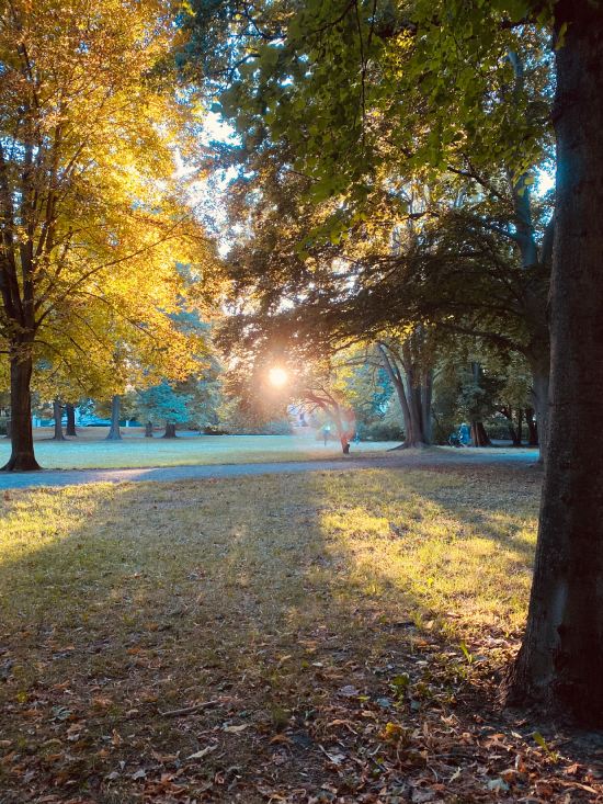 Neuroplastizität verstehen