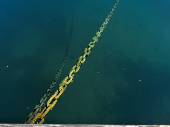 Konditionierungen und Verhaltensweisen verstehen und&nbsp;auflösen