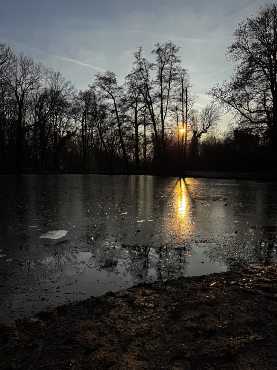 Wenn Kontrolle Sicherheit ersetzen soll