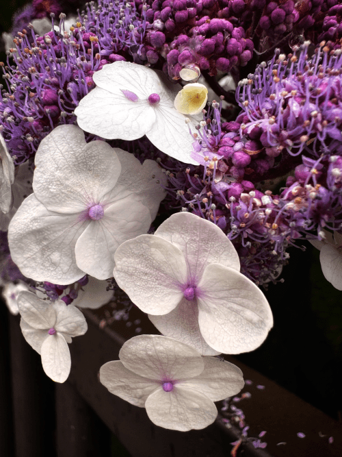 Dein innerer Kleiderschrank: Wie deine innere Auswahl deine Reaktionen im Alltag&nbsp;beeinflusst