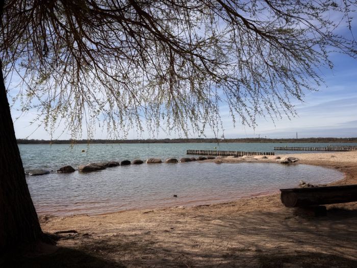 Co-Regulation des Nervensystems